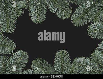 Green branches of nobilis fir in a frame isolated on black background. Christmas decoration Stock Photo