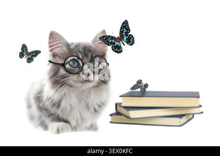 Sitting gray kitten in a round glasses, books and butterflies isolated on white background. Concept of lepidopterologist Stock Photo