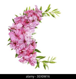 Pink geranium flowers and green spirea leaves in a round floral arrangement isolated on white background Stock Photo