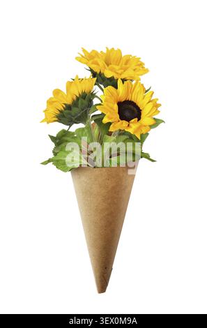 Three yellow sunflowers in a craft paper corner isolated on white Stock Photo