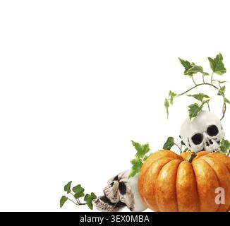 Two large orange pumpkins with sculls and green twigs of ivy in a corner arrangement isolated on white background for Halloween Stock Photo