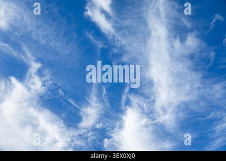 wispy cirrus clouds drifts across a vivrant blue sky on a clear day Stock Photo