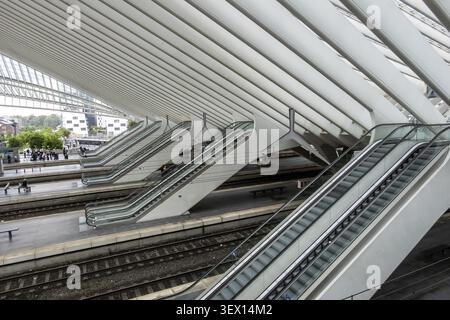 Escalators and roof ribs in the modern Liege-Guillemins Liege railway station, Liege Province, Belgium Stock Photo