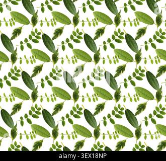 Various type of green leaves in a seamless floral pattern isolated on white background Stock Photo