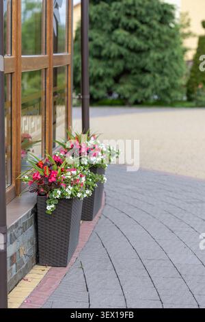 woven rectangular planters with red and white flowers standing outside a building window next to a paved stone walkway with copy space. Stock Photo