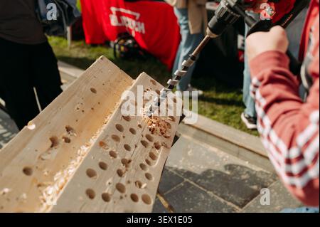 Person drilling holes in wooden beam with auger drill bit during woodworking demonstration Stock Photo