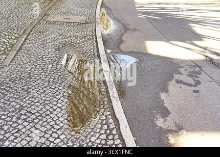 Of course in the city, puddle on a cobblestone street, reflecting light and shadow and reflections from surrounding trees, in Magdeburg, Saxony-Anhalt Stock Photo