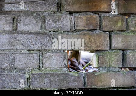 Old, rough brick wall with a distinct rectangular gap where a brick is missing, revealing a blurry background, symbolizing neglected structures, wear, Stock Photo