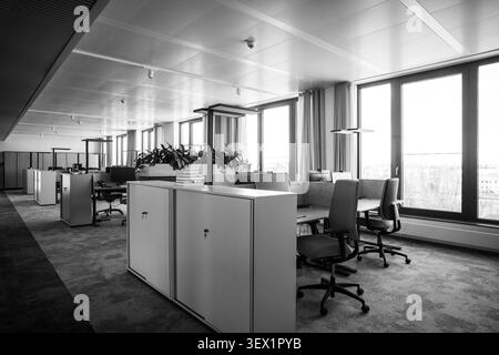 Open‑plan office workspace with desks monitors chairs and natural light. Black and white. Stock Photo