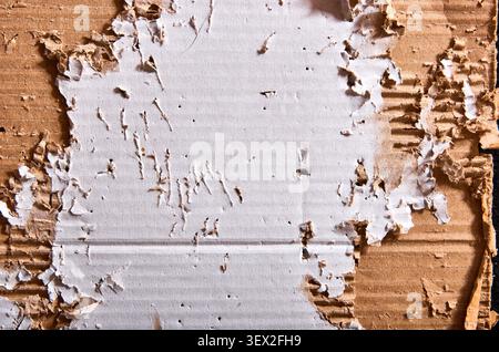 A close-up of a brown cardboard surface with ripped layers and exposed fluting after being shredded by a cat Stock Photo
