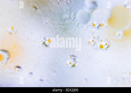 Tiny daisies and flowers float within translucent water droplets. Soft colors swirl around delicate white blossoms. Each flower holds a bright yellow Stock Photo