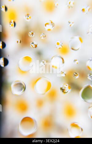 Flower-like droplets cling to glass, glistening softly. Sunlit background blurs with warm yellow tones. Circles of water reflect light, creating depth Stock Photo