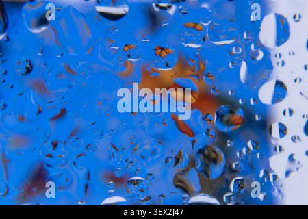 Blue floral surface dotted with droplets and orange splotches. Reflections swirl subtly beneath the water droplets. Colorful, abstract flower pattern Stock Photo