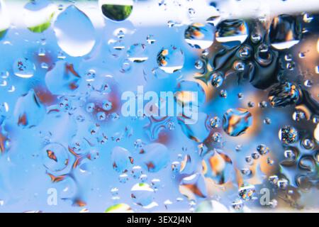 Glass surface dotted with glistening water droplets and flowers. Reflections of colorful scenery ripple beneath droplets. Blue background enhances cla Stock Photo