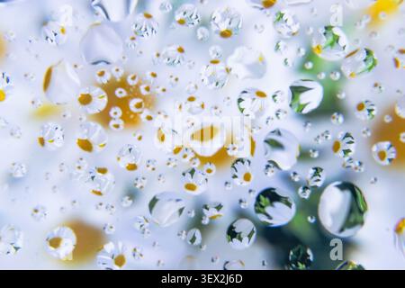 Water droplets glisten on a transparent surface with yellow flowers softly blurred beneath the droplets. Glassy spheres reflect light and color. Tiny Stock Photo