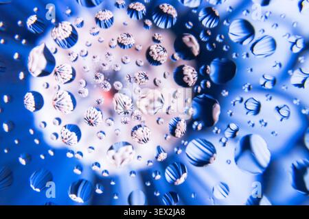 Water droplets cling to a blue-tinted surface with flowers. Reflections shimmer softly in the droplet cluster. Background glows with cool, diffuse blu Stock Photo