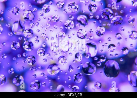 Purple droplets cling to a glass surface with flowers. Blurred purple background adds depth. Glossy water beads reflect light. Texture is smooth and d Stock Photo