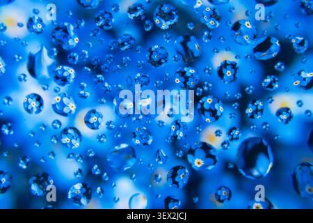 Blue background with water droplets and small white flowers Stock Photo