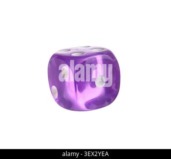 Purple dice on white background Stock Photo