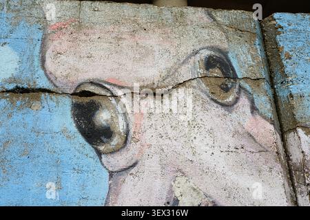 Graffiti depicts a weary-eyed creature on cracked concrete. Pink tones blur the edges of this weathered face. Large, dark eyes stare upward Stock Photo