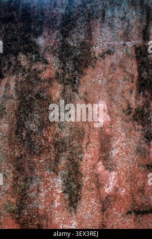 High-resolution commercial abstract background featuring a distressed concrete wall with peeling red paint, dark mold stains, and organic weathered te Stock Photo