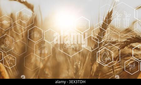 Smart farm technology enhances crop growth and management during golden hour Stock Photo