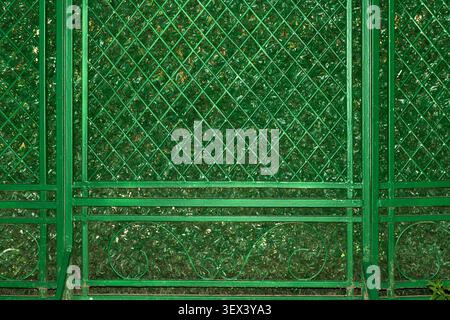 Full frame background of a green artificial leaf hedge behind a decorative painted metal lattice fence with forged ornaments. Privacy screen and garde Stock Photo