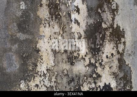 Old weathered Concrete wall, Grunge cement texture with mold stains and moisture damage background, Grunge Surface Pattern, Aged Concrete Wall, Damp I Stock Photo