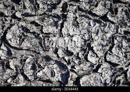 Top-down macro shot of deeply parched and cracked earth, highlighting a heavily textured surface of dried mud. Stock Photo