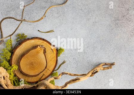 Natural Wood Slice with Moss and Twigs on Concrete Surface for Organic Design Stock Photo