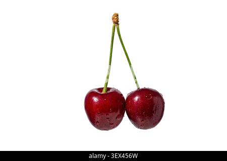 Fresh Twin Cherries with Water Droplets on White Background for Food and Nutrition Design Stock Photo