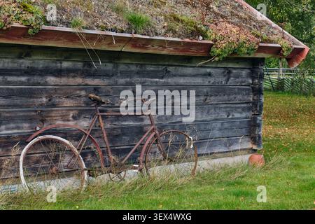 Rural life and heritage concept an old rusty bicycle leaning on a weathered wooden backstuga cottage with a green moss roof in rseryd Sweden. Stock Photo