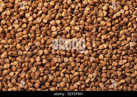 Buckwheat groats texture background, raw organic buckwheat seeds close-up Stock Photo