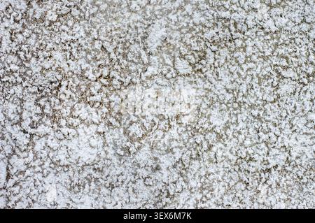 Rough textured white concrete wall background with coarse plaster finish Stock Photo