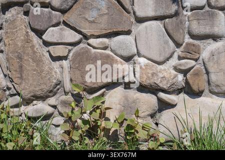 Natural stone wall background with wild grass and plants at the base, rustic masonry texture for design projects Stock Photo