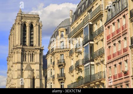 France, Paris, view of Notre-Dame Cathedral from Rue Lagrange Stock Photo