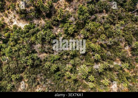 Chile, Valparaiso Region, Chile, South America, Campana national park, aerial view, Stock Photo