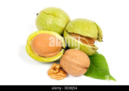 Natural walnuts in the peel on a white background. Unpeeled walnuts. Walnut leaf. Stock Photo