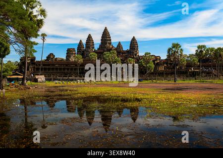 View of the ancient Angkor Wat temple complex reflected in the foreground pond, surrounded by tall palm trees under a bright blue sky in Krong Siem Re Stock Photo