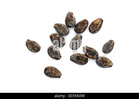 Watermelon seeds scattered on a clean white background. Top view of a small group of organic black and brown watermelon grains Stock Photo