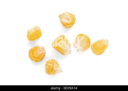 Dry corn seeds scattered on a clean white background. Top view of organic maize planting grains Stock Photo