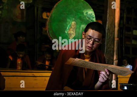 Young Buddhist monk reading from a traditional pecha (loose-leaf Buddhist scripture) during religious study inside Thiksey Monastery, Ladakh. Stock Photo
