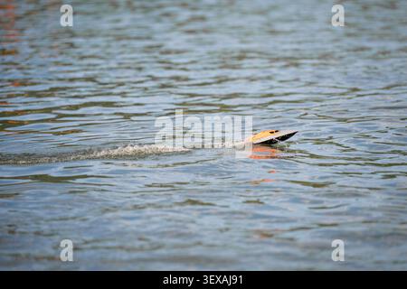 High angle action shot of a miniature electric powerboat cruising through water ripples, concept of fast data transfer and velocity. Stock Photo