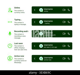 WhatsApp chat status UI template with online, typing, recording audio, last seen and active now interface indicators vector Stock Vector