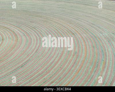 Close-up of circular crop rows in a field Stock Photo