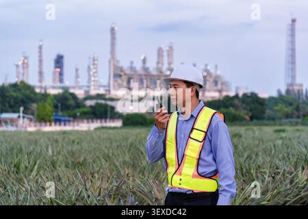 Professional engineer wearing safety vest and hard hat uses walkie talkie reporting while standing in pineapple field with industrial oil refinery com Stock Photo