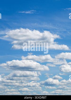 Vertical view of bright white cumulus clouds drifting across vivid blue sky, creating peaceful natural background for weather and design Stock Photo