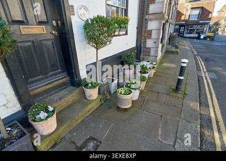 Narrow Cobblestone Street with Potted Plants and Traditional Door. Stock Photo