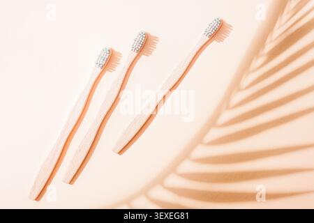 Bamboo toothbrushes on a pastel background with soft sunlight and tropical leaf shadows. Sustainable oral care concept, top view. flat lay. Stock Photo