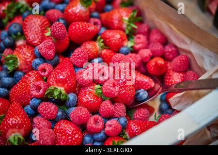 Mixed berry fruit, Stock Photo